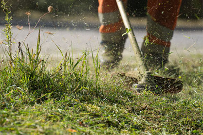 Touchwood Tree Services